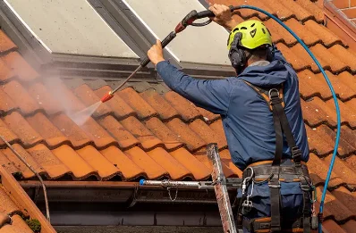 Démoussage et hydrofuge de toiture à Lucgarier